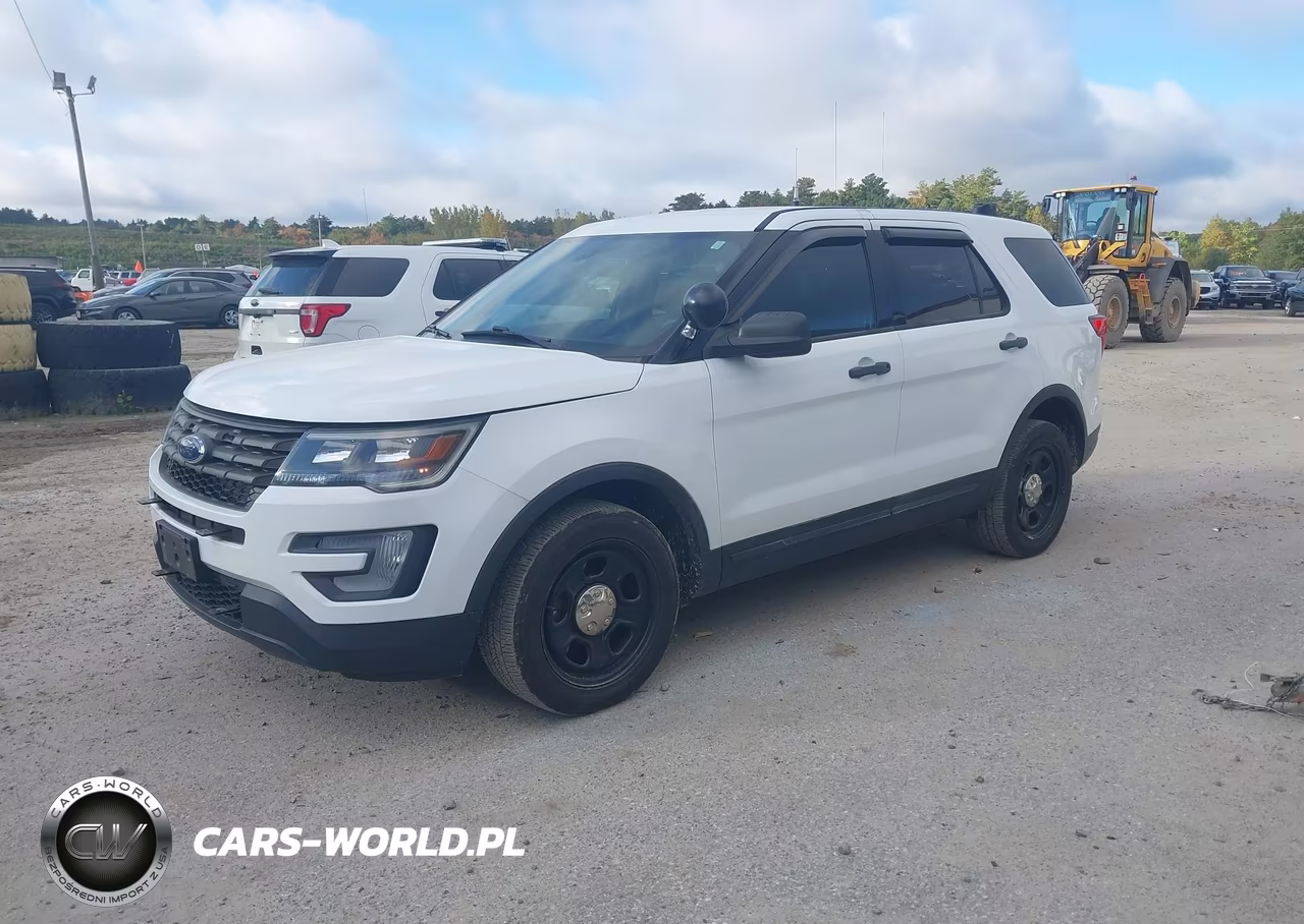 2018 Ford Police Interceptor Utility VIN:1FM5K8AR0JGC49608 - 2