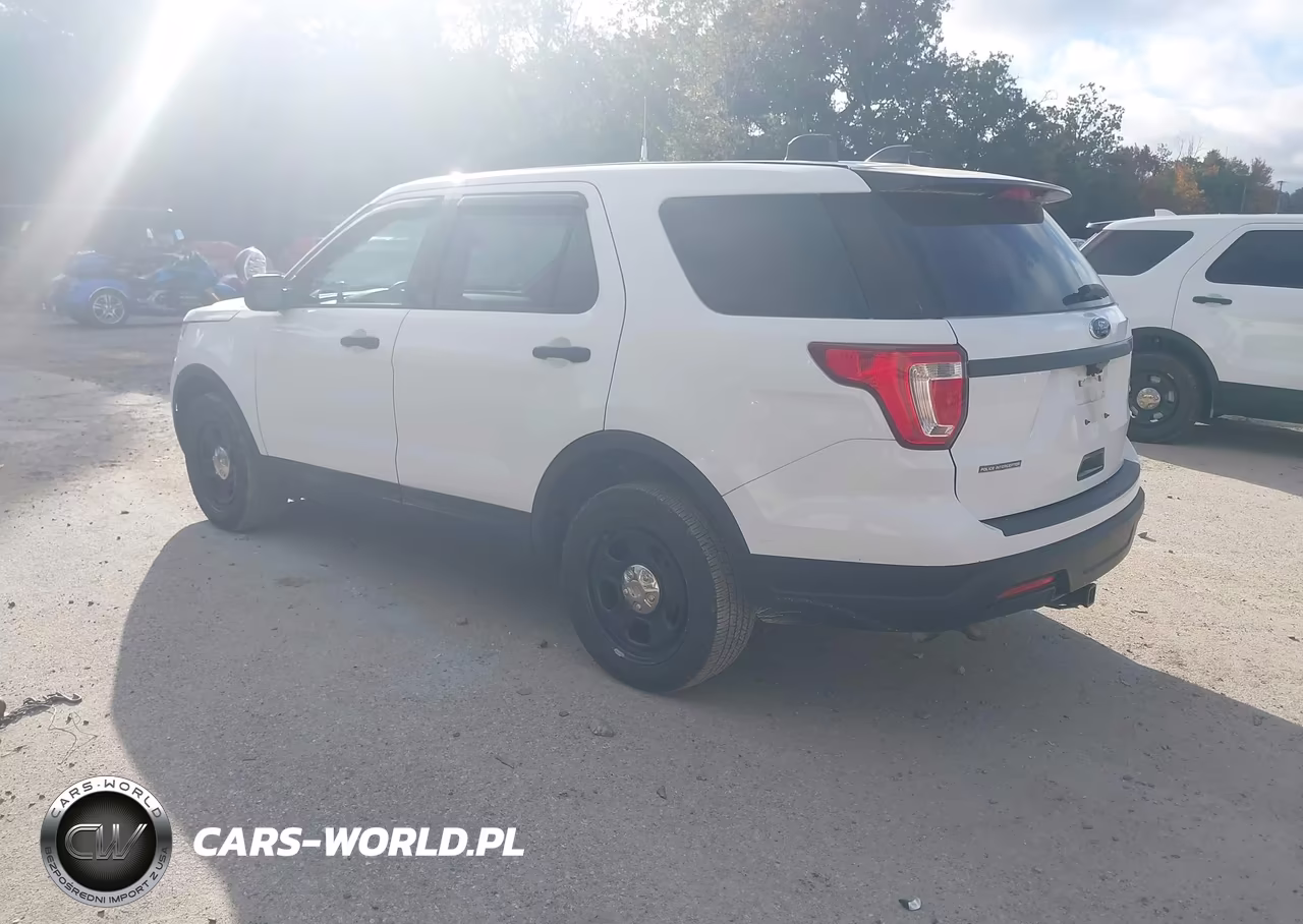 2018 Ford Police Interceptor Utility VIN:1FM5K8AR0JGC49608 - 3
