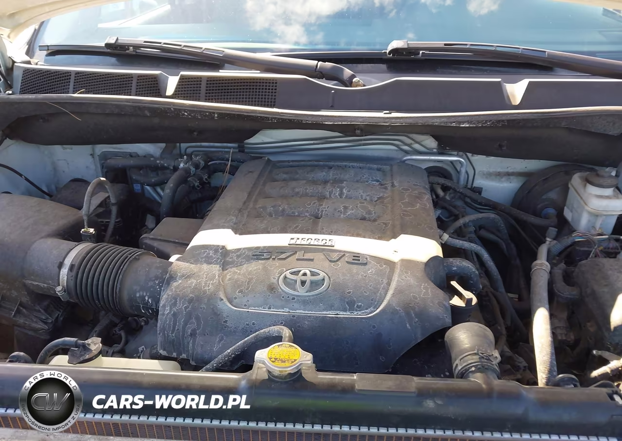 2014 Toyota Sequoia Platinum 5.7L V8 VIN:5TDDW5G1XES107217 - 10