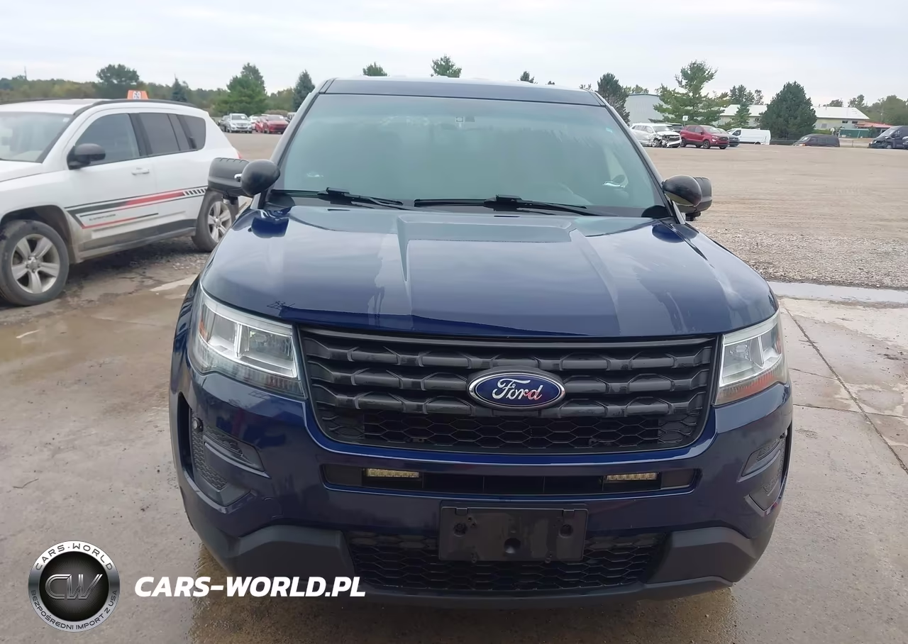 2016 Ford Utility Police Interceptor VIN:1FM5K8AR3GGA79785 - 13