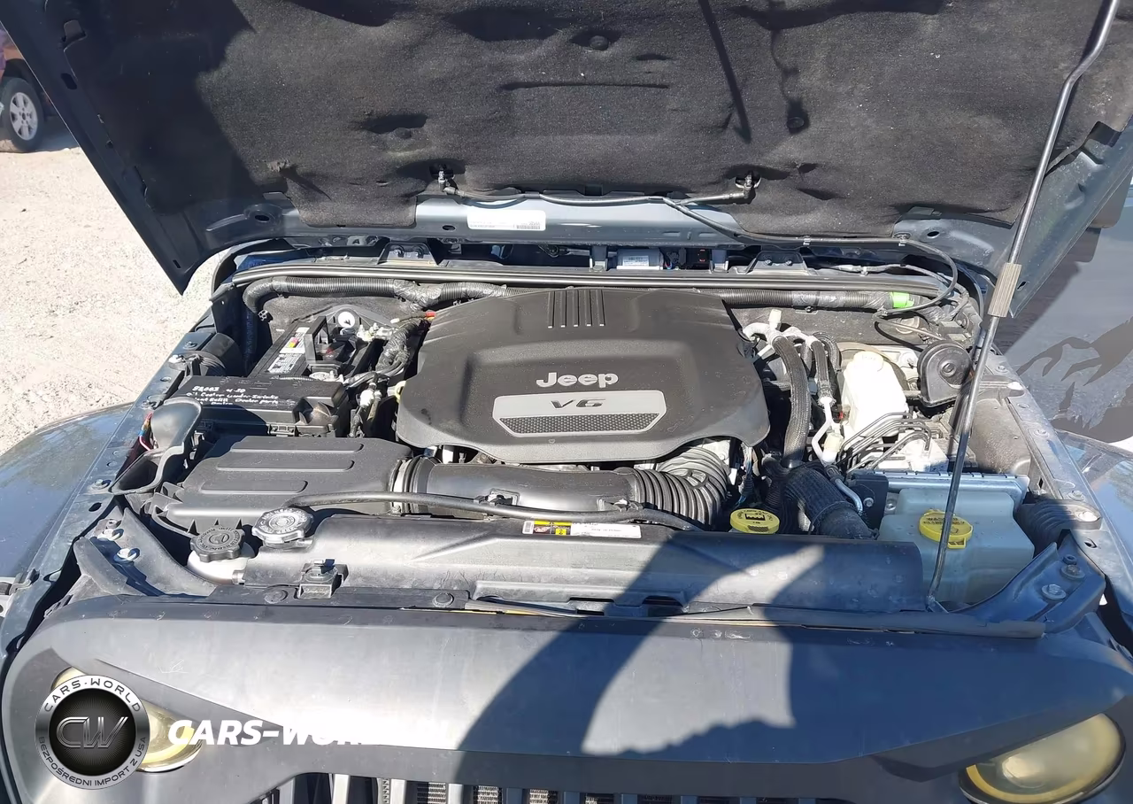 2016 Jeep Wrangler Unlimited Sahara VIN:1C4BJWEGXGL261644 - 10
