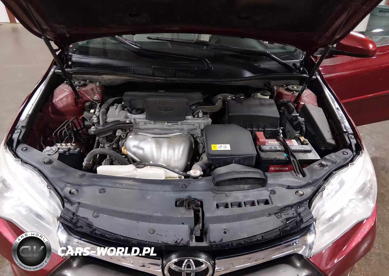 2017 Toyota Camry Xle VIN:4T1BF1FK1HU774330 - 10