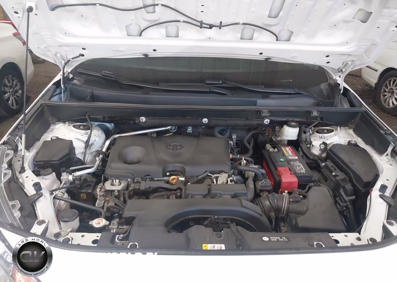 2019 Toyota Rav4 Limited VIN:2T3N1RFV9KC046016 - 10