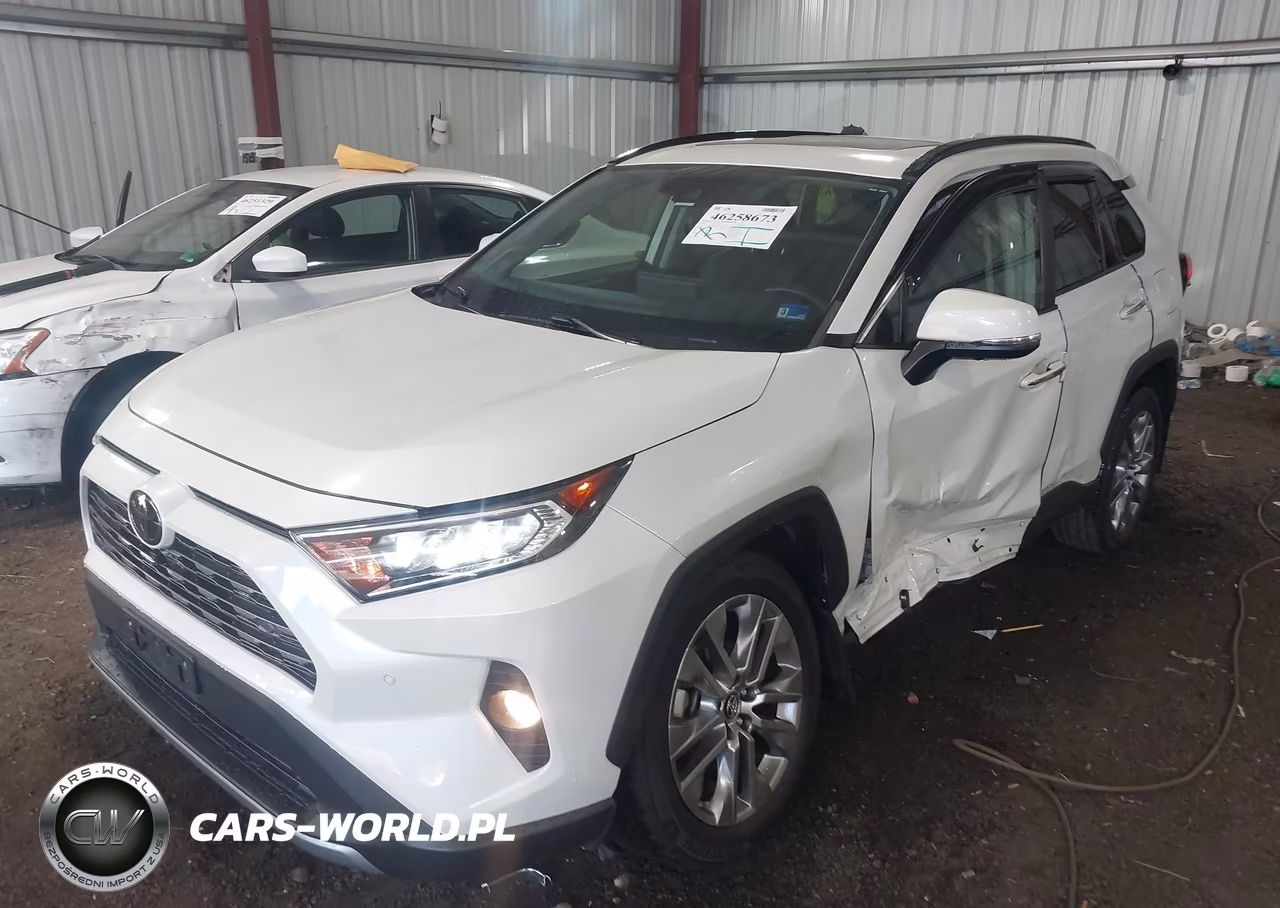 2019 Toyota Rav4 Limited VIN:2T3N1RFV9KC046016 - 2
