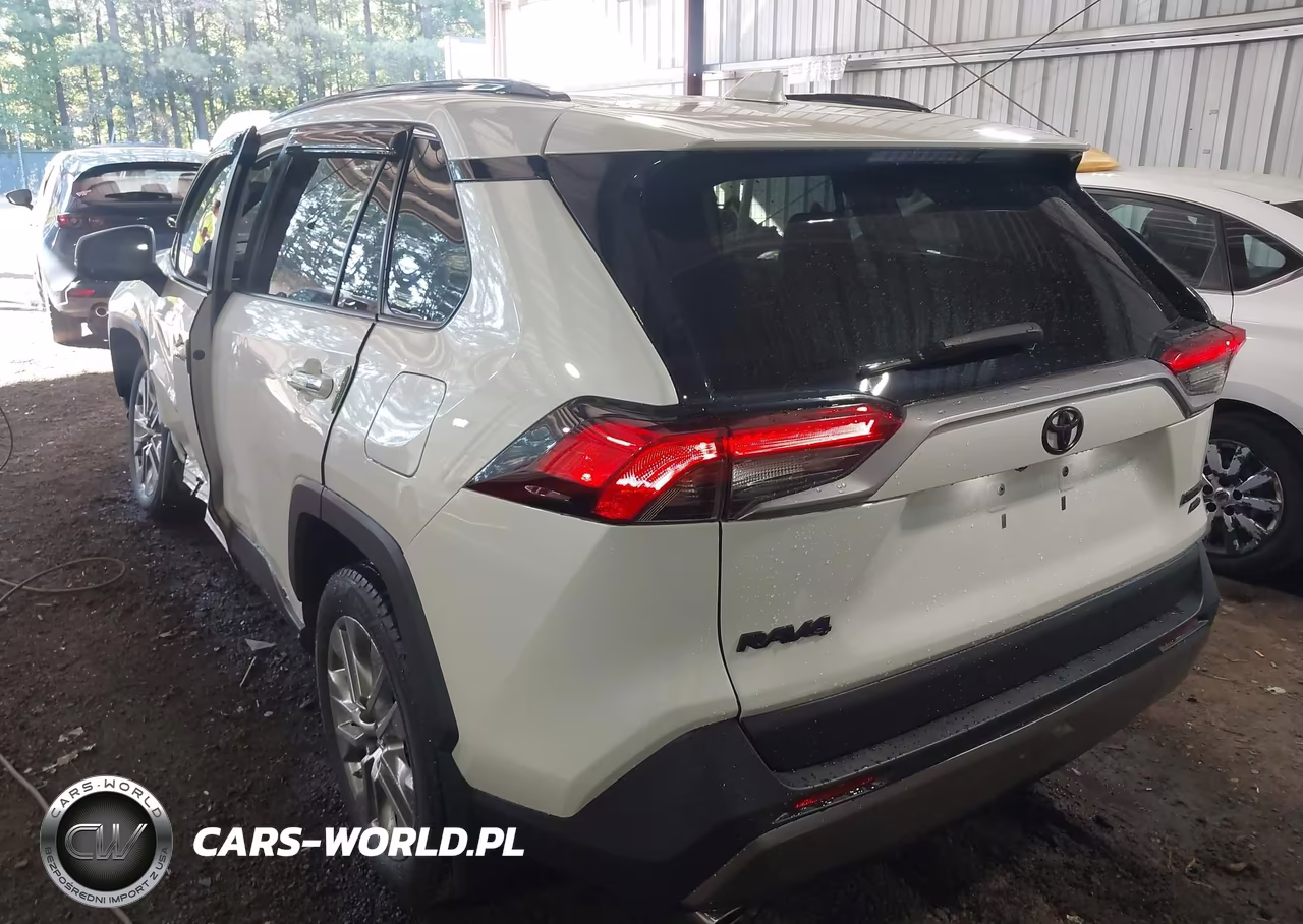 2019 Toyota Rav4 Limited VIN:2T3N1RFV9KC046016 - 3