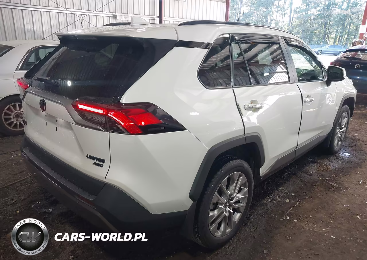 2019 Toyota Rav4 Limited VIN:2T3N1RFV9KC046016 - 4