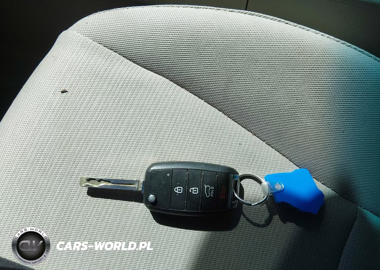 2015 Kia Sedona Lx VIN:KNDMB5C11F6066110 - 11