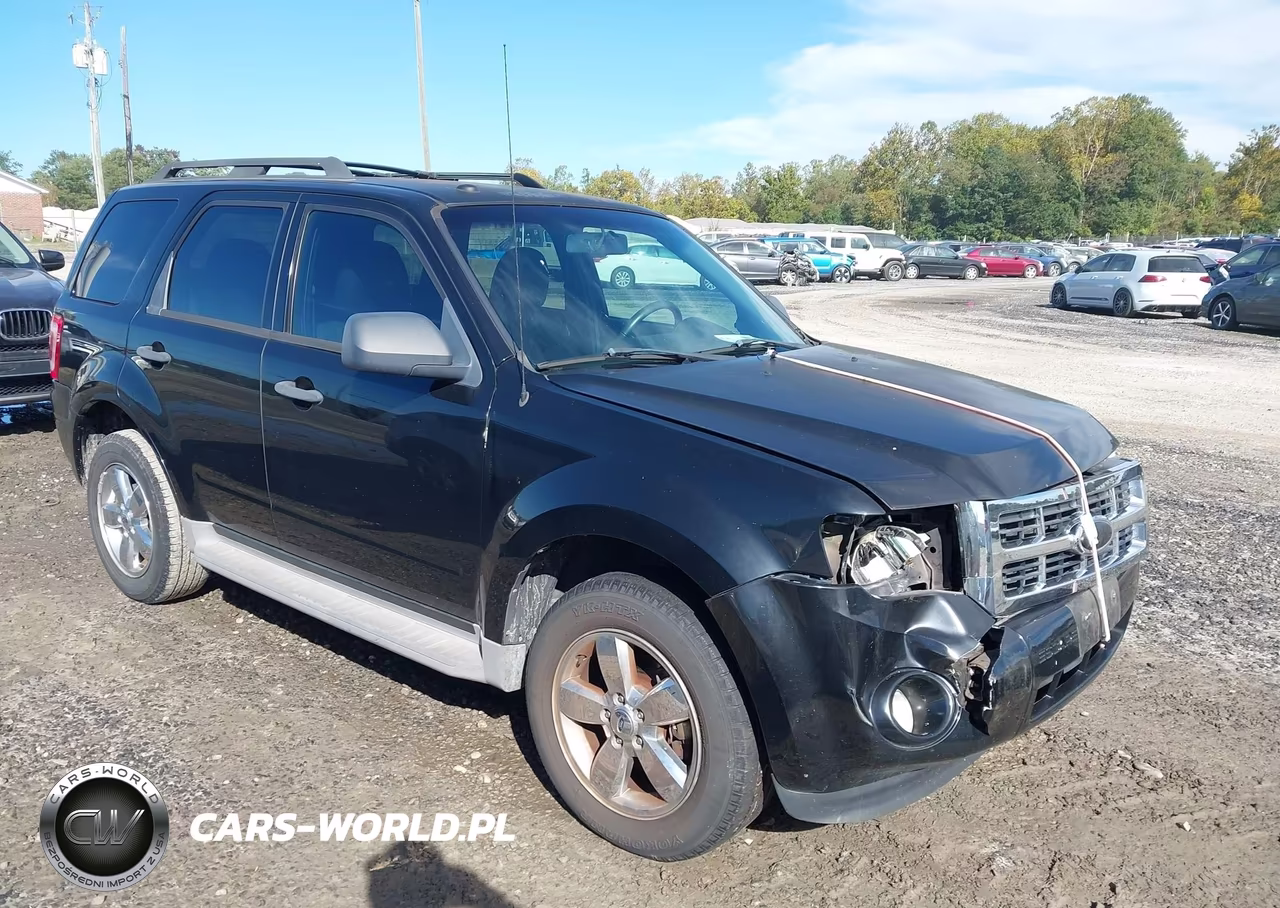 2010 Ford Escape Xlt
