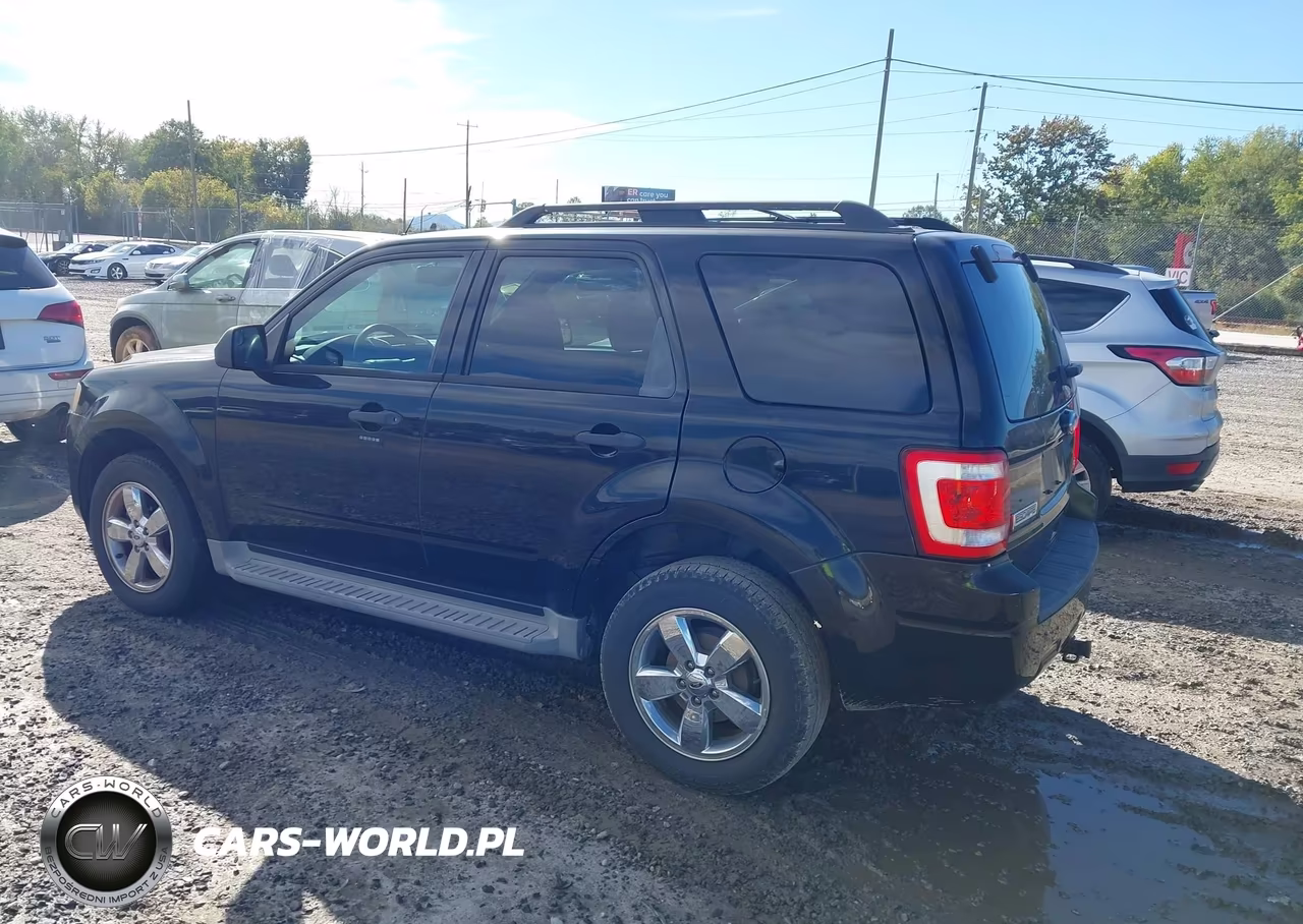 2010 Ford Escape Xlt VIN:1FMCU0DGXAKD06097 - 3