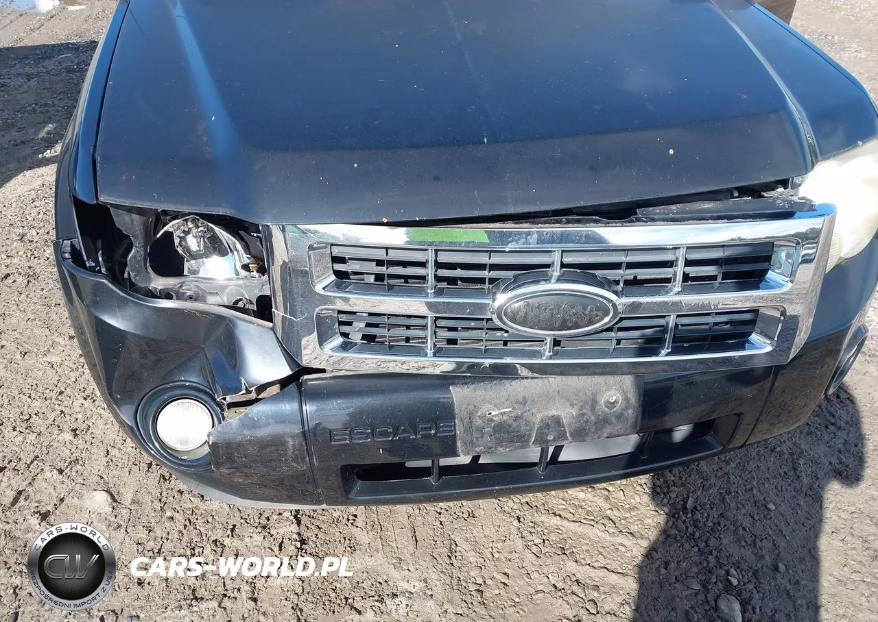 2010 Ford Escape Xlt VIN:1FMCU0DGXAKD06097 - 6
