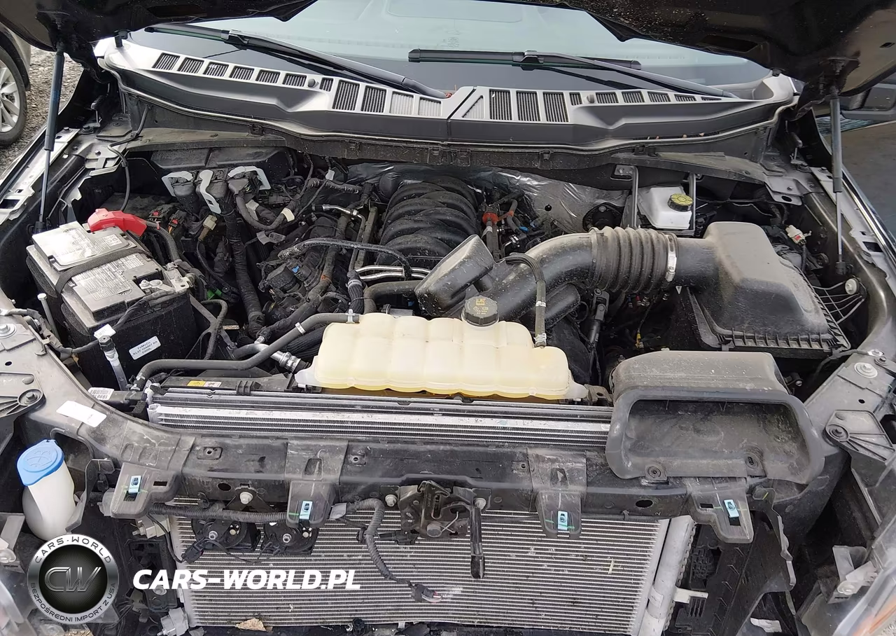 2025 Ford F-150 Xlt VIN:1FTFW3L55SKE63468 - 10