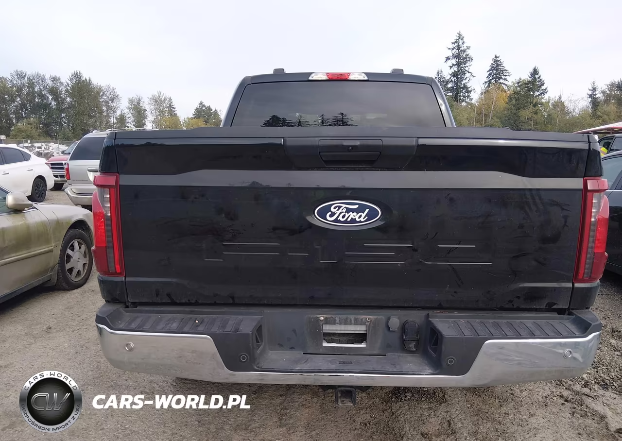 2025 Ford F-150 Xlt VIN:1FTFW3L55SKE63468 - 17