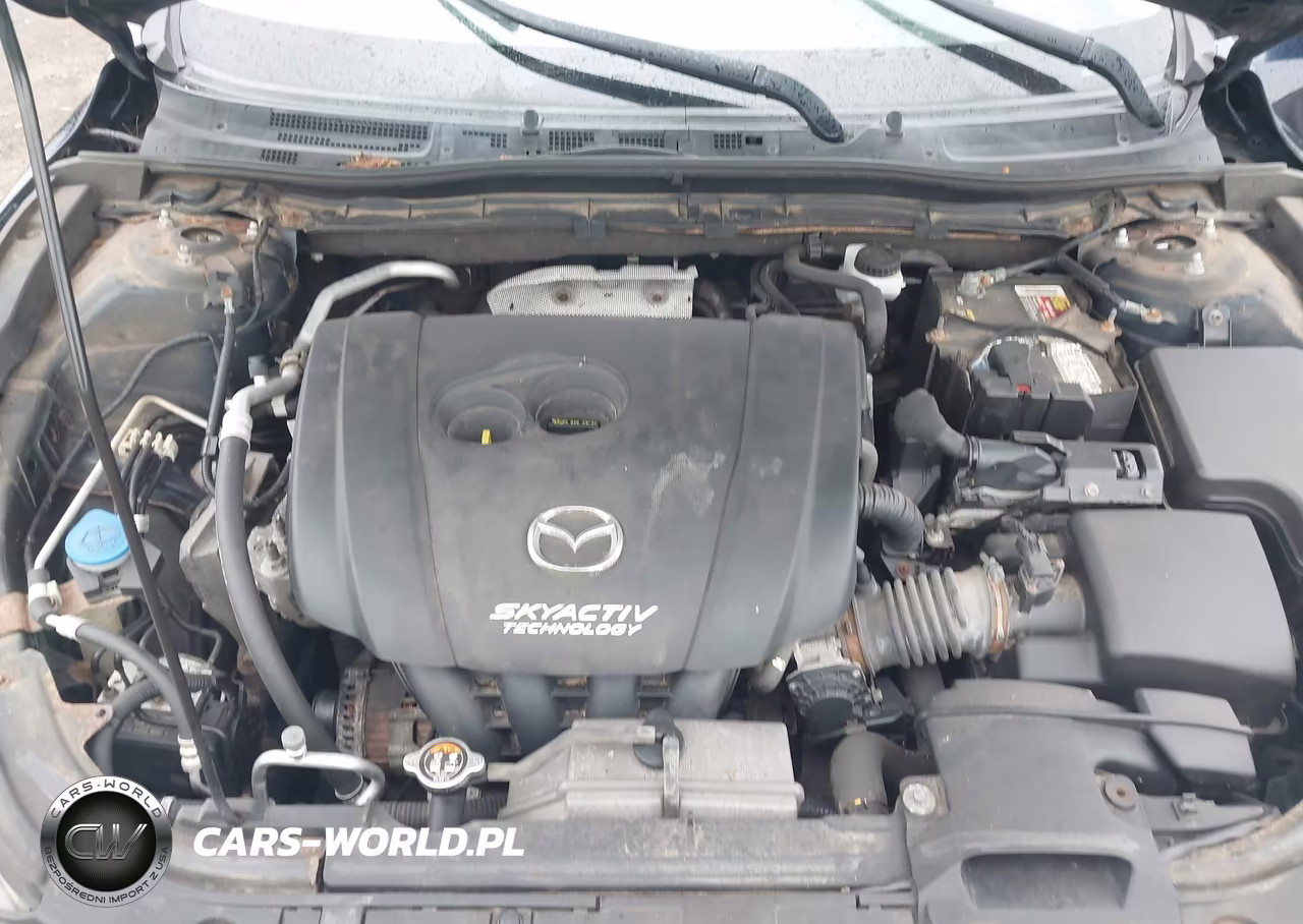 2016 Mazda 3 Sport VIN:JM1BM1U73G1290314 - 10