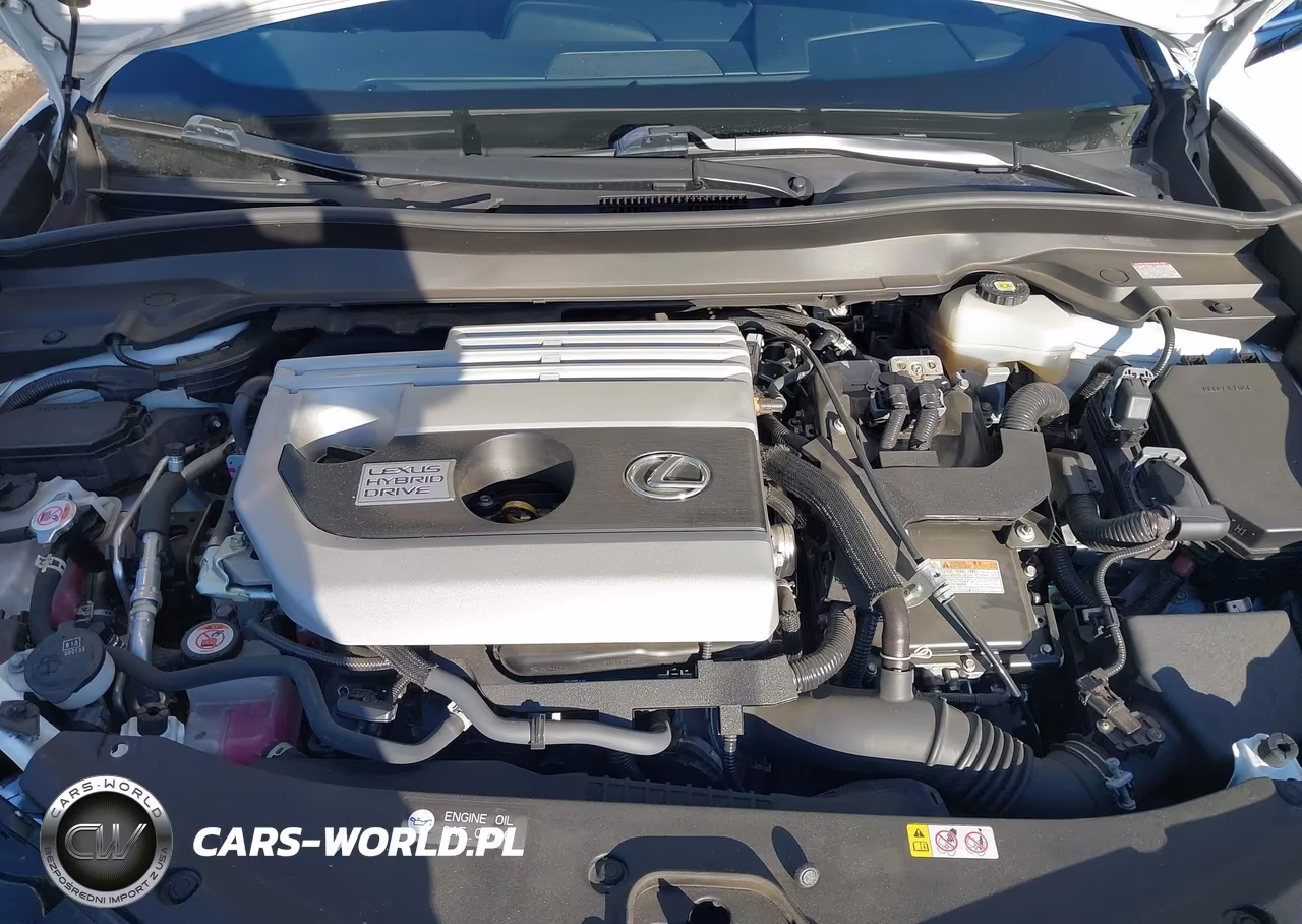 2021 Lexus Ux 250H F Sport VIN:JTHE9JBH2M2053635 - 10
