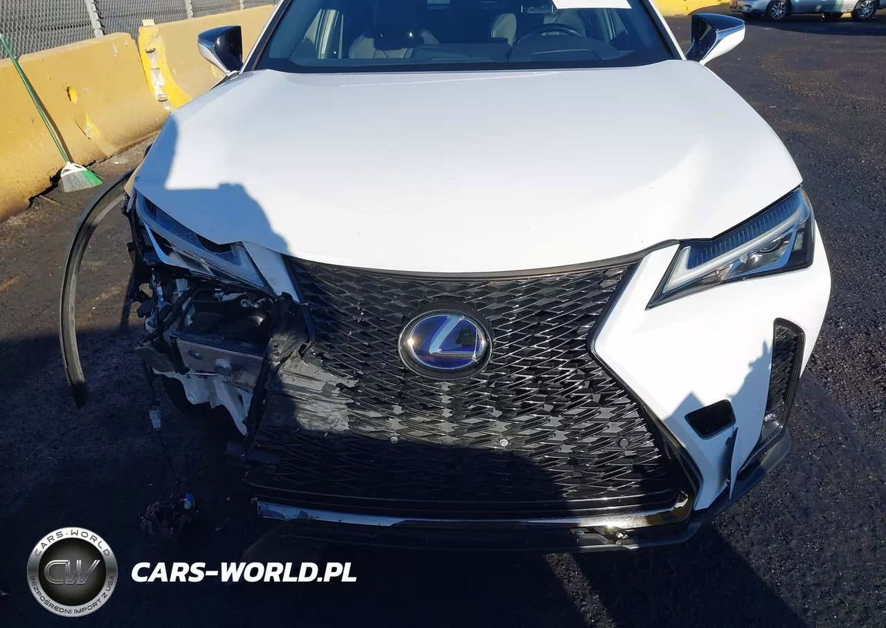 2021 Lexus Ux 250H F Sport VIN:JTHE9JBH2M2053635 - 13