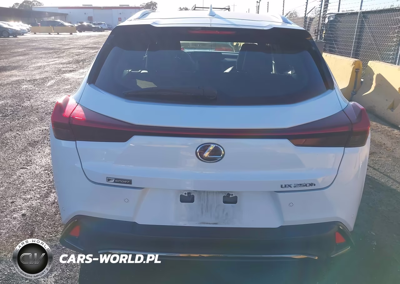 2021 Lexus Ux 250H F Sport VIN:JTHE9JBH2M2053635 - 17