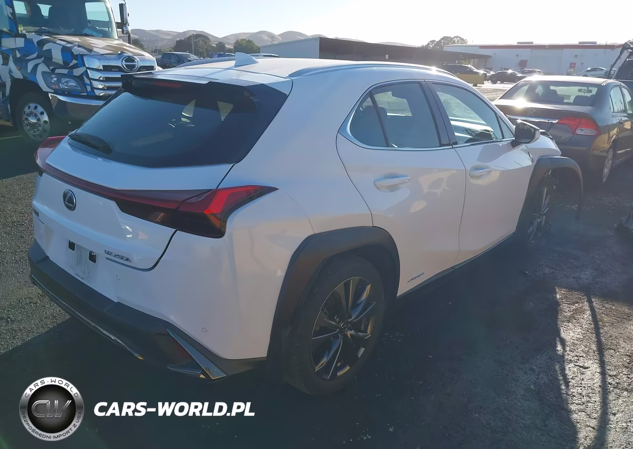 2021 Lexus Ux 250H F Sport VIN:JTHE9JBH2M2053635 - 4