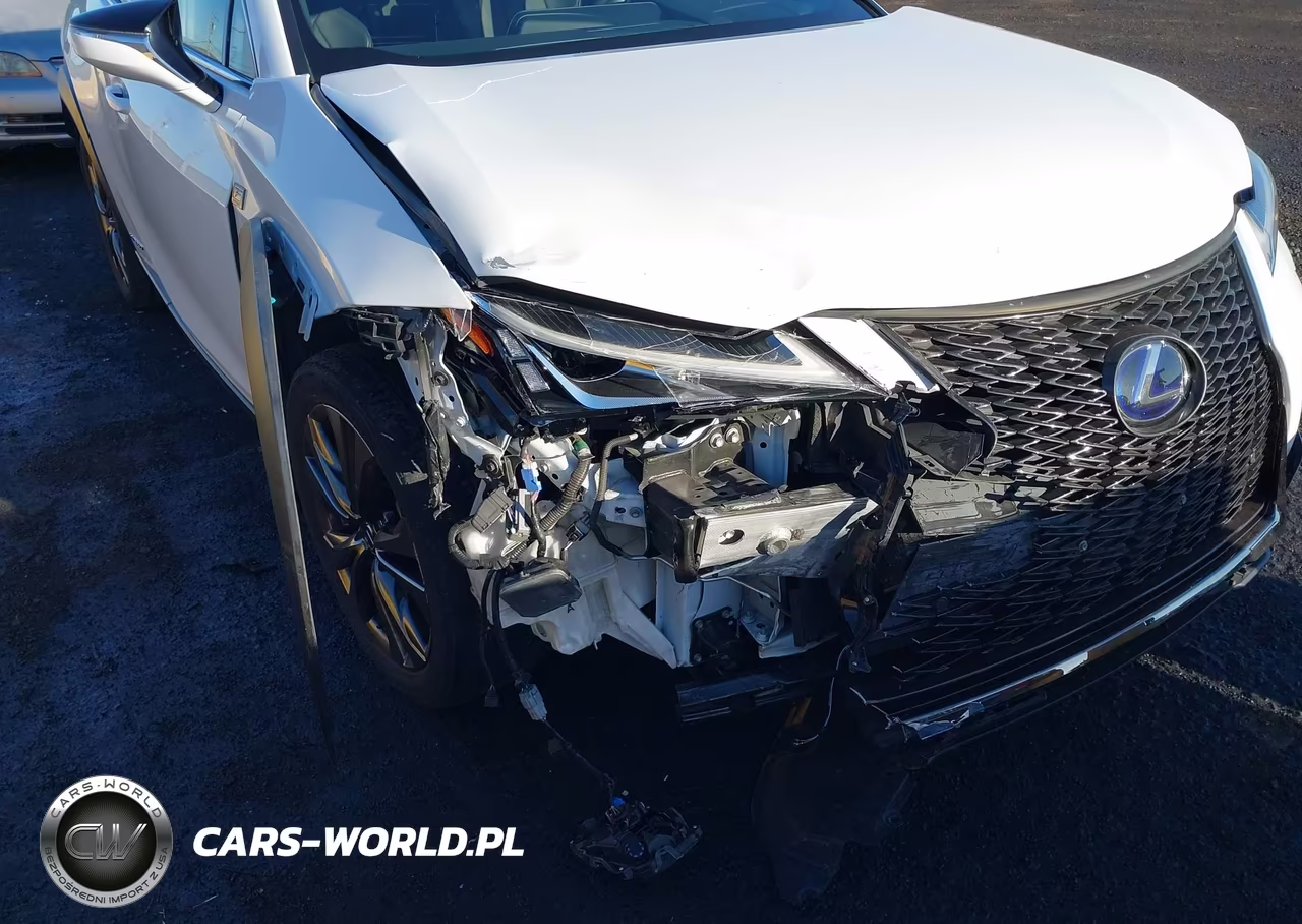 2021 Lexus Ux 250H F Sport VIN:JTHE9JBH2M2053635 - 6