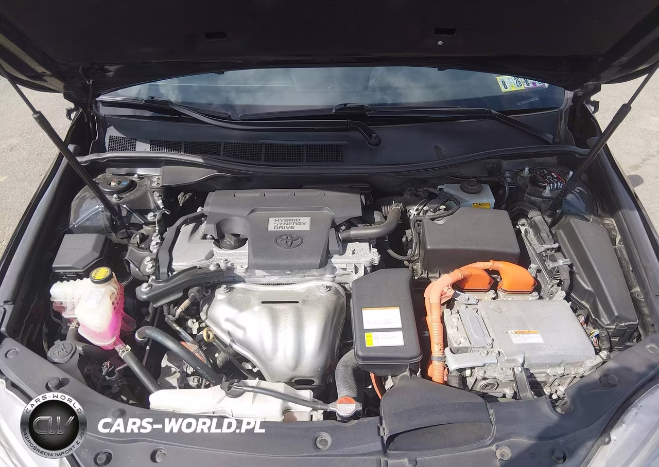 2016 Toyota Camry Hybrid Se VIN:4T1BD1FK2GU194248 - 10