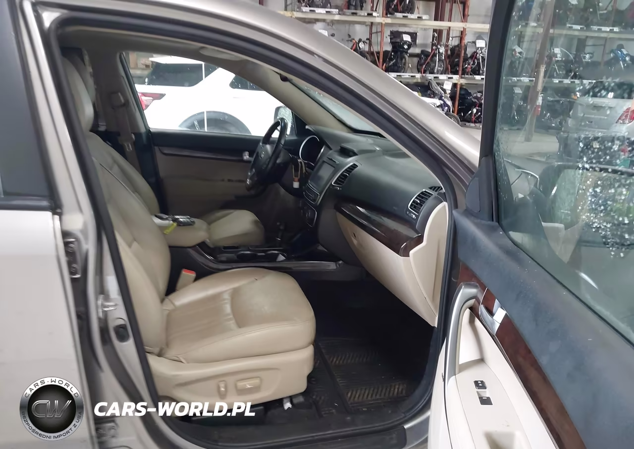 2014 Kia Sorento Ex V6 VIN:5XYKU4A73EG491794 - 5
