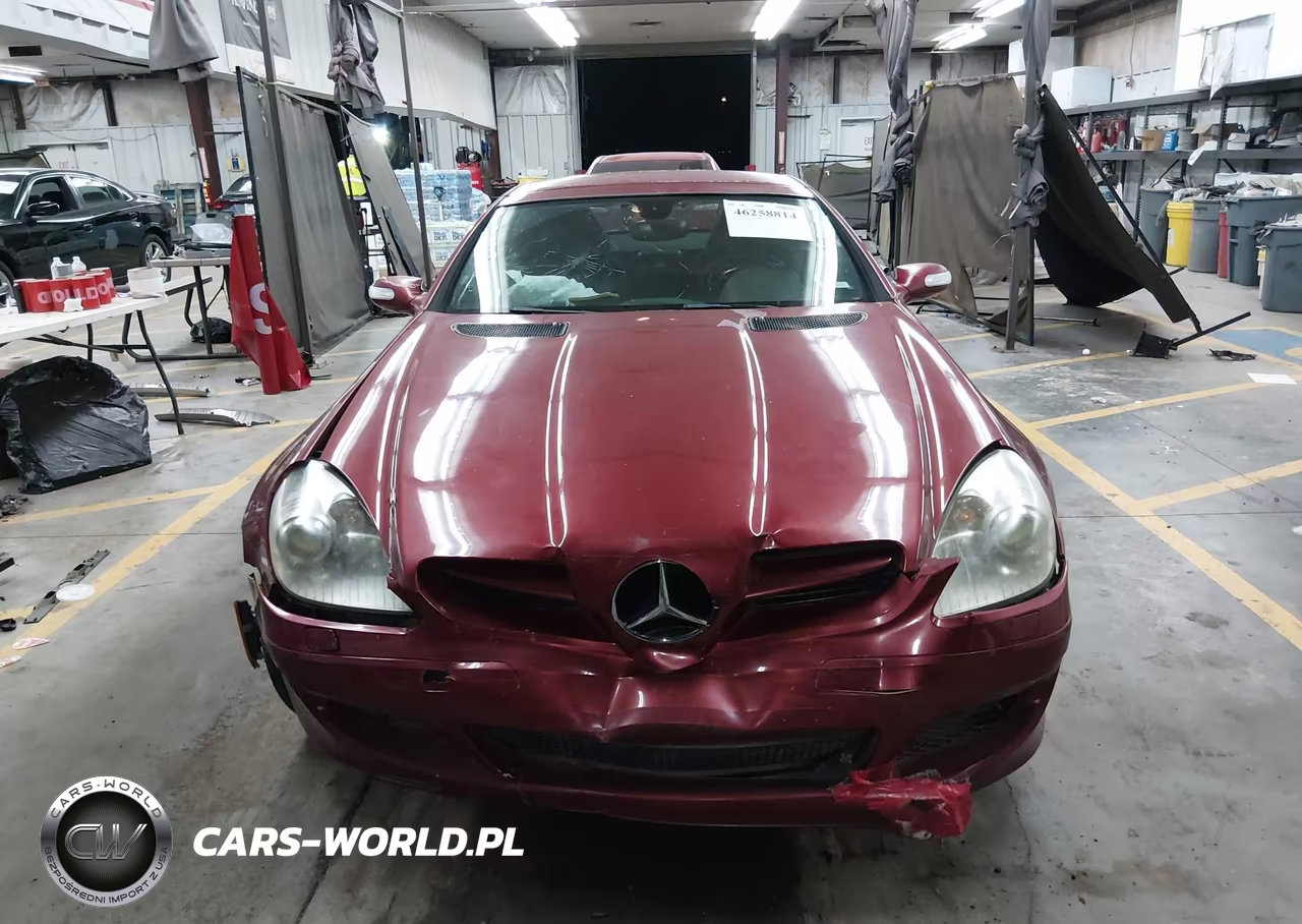 2006 Mercedes-Benz Slk 280 VIN:WDBWK54F16F097083 - 12
