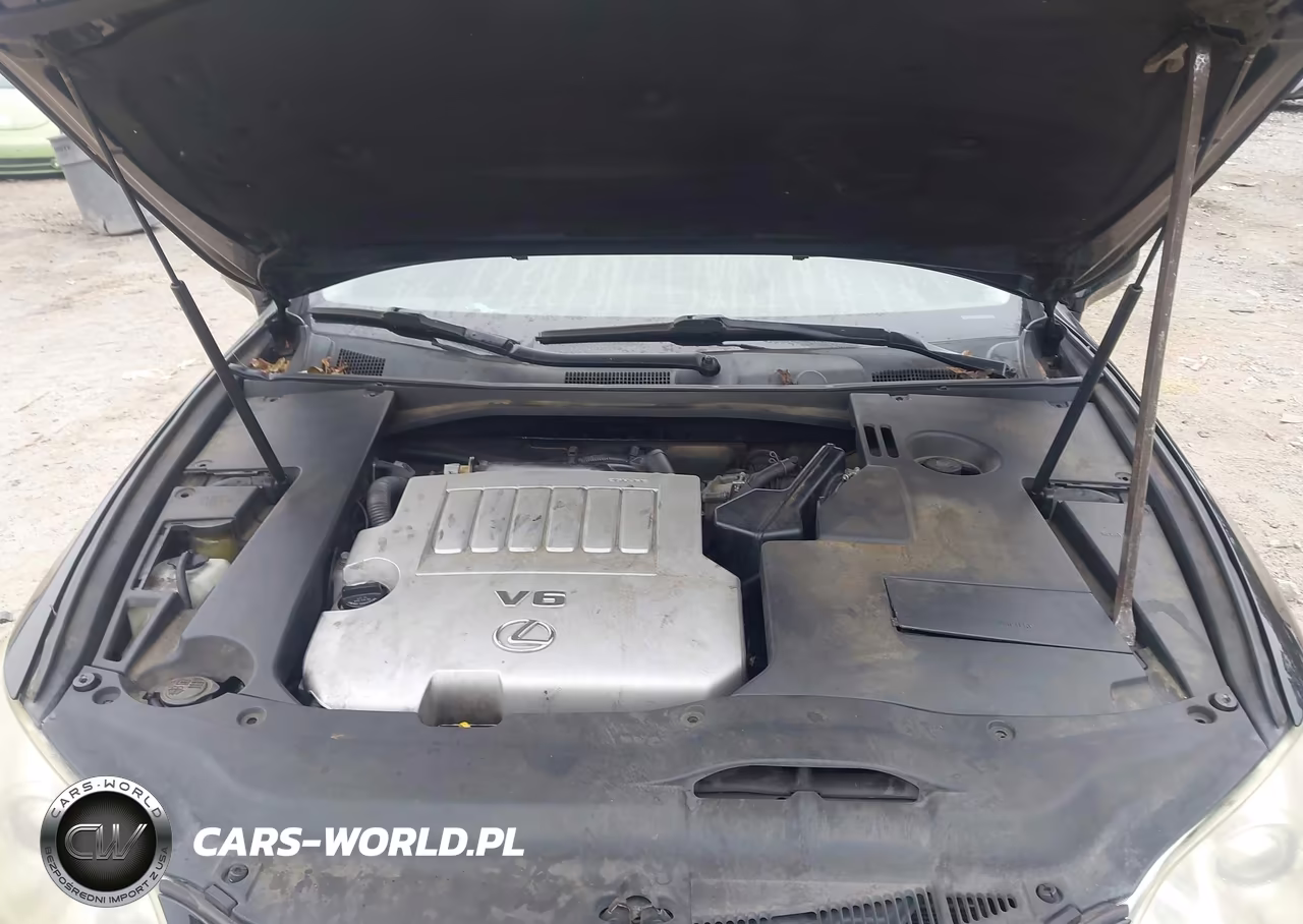 2007 Lexus Es 350 VIN:JTHBJ46G572012093 - 10