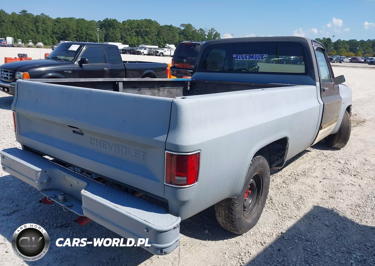1983 Chevrolet C10 VIN:2GCDC14H7D1112819 - 4