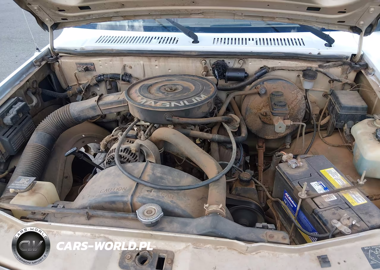 1992 Dodge Dakota VIN:1B7GG26X6NS585494 - 10
