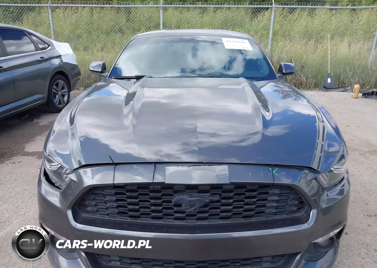 2015 Ford Mustang Ecoboost VIN:1FA6P8TH3F5340928 - 12