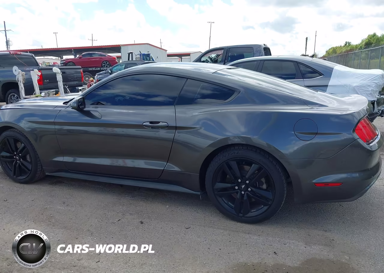 2015 Ford Mustang Ecoboost VIN:1FA6P8TH3F5340928 - 14