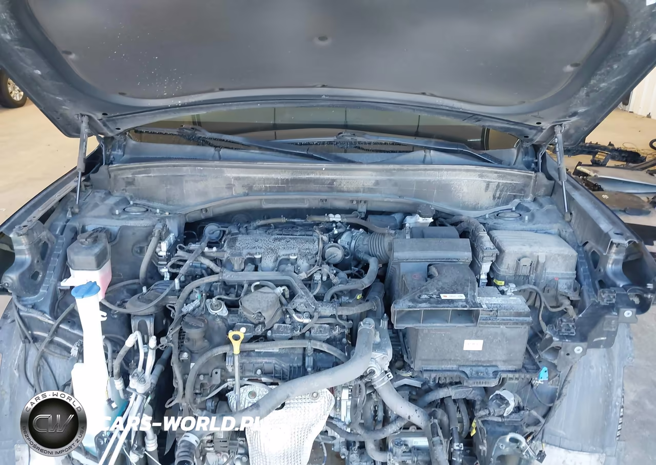 2022 Hyundai Palisade Sel VIN:KM8R4DHE8NU338017 - 10