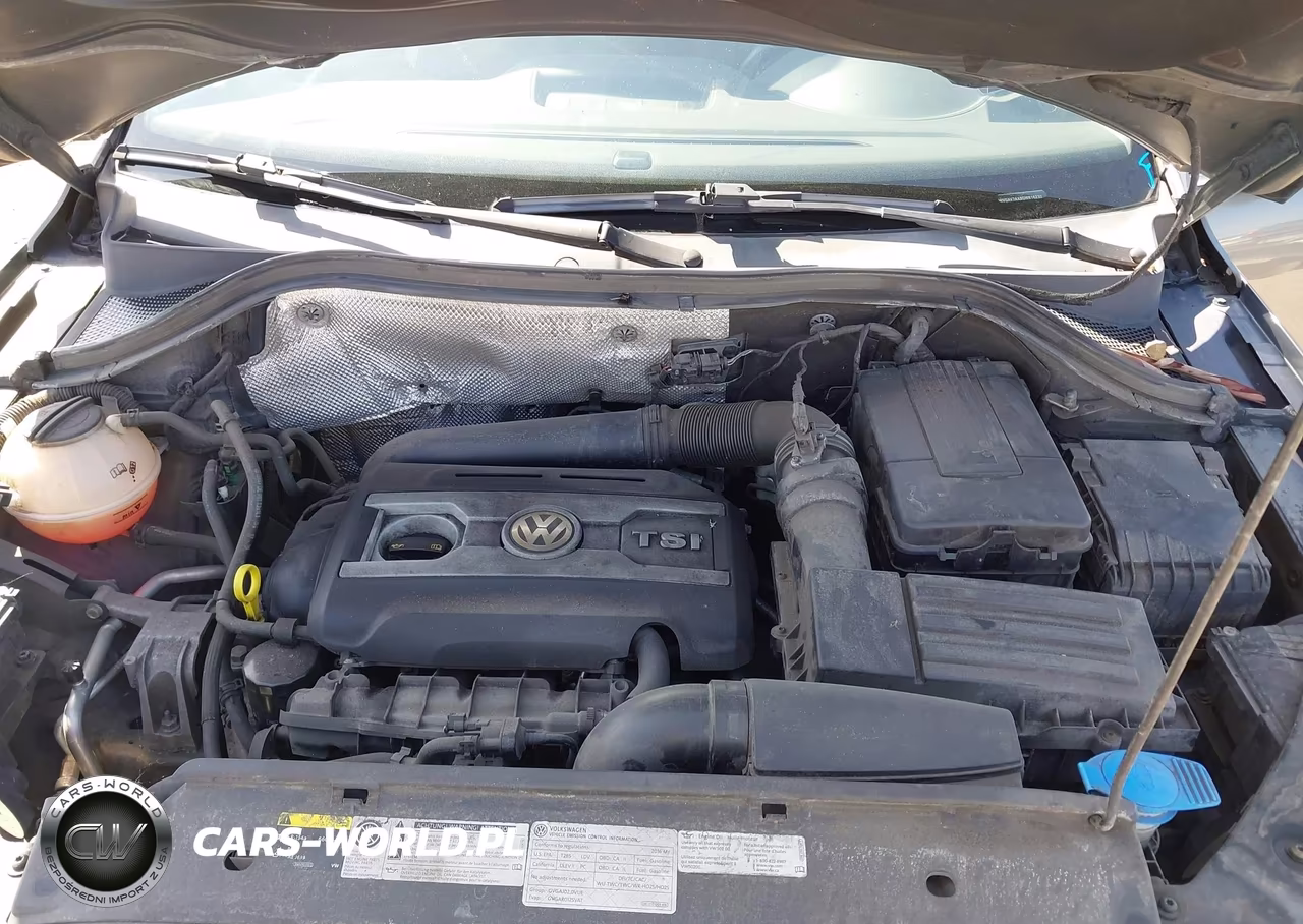 2016 Volkswagen Tiguan Se VIN:WVGAV7AX9GW616230 - 10
