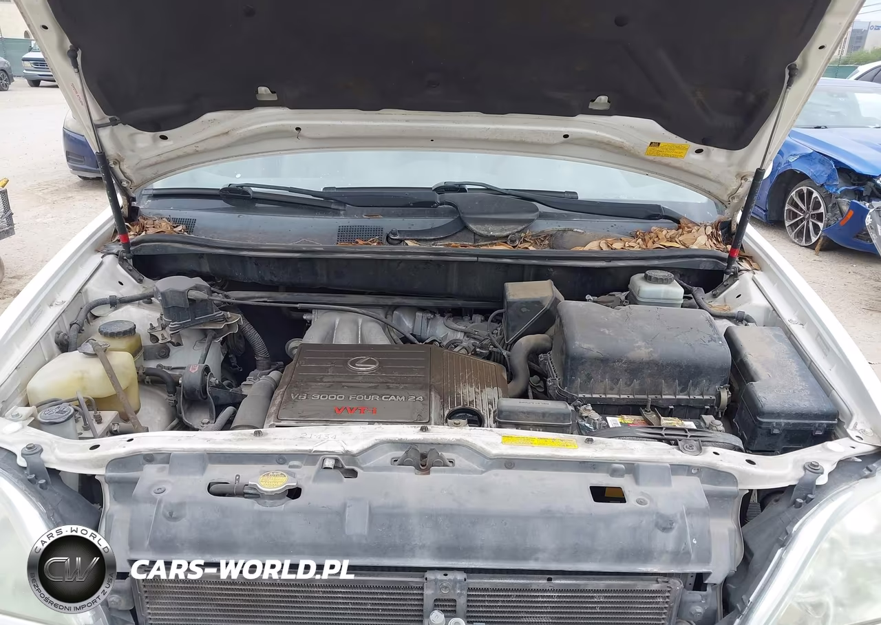 2001 Lexus Rx 300 VIN:JTJGF10U210107006 - 10