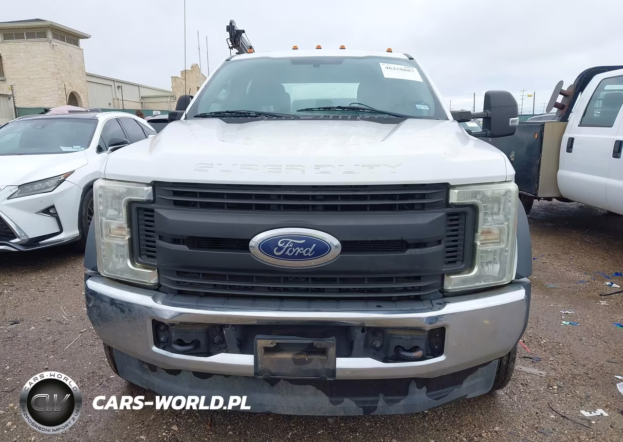 2017 Ford F-450 Chassis Xl VIN:1FD0W4HTXHEC61666 - 12