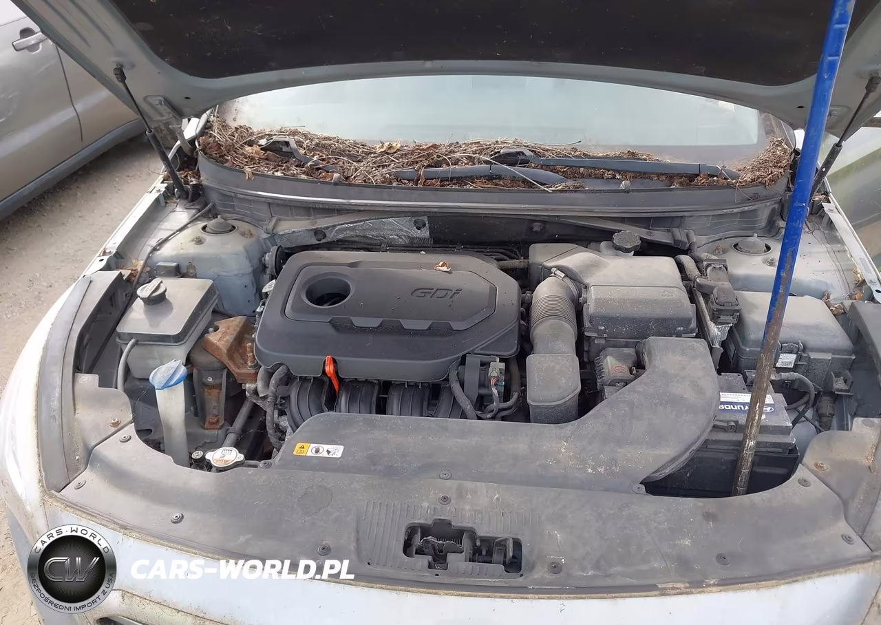 2015 Hyundai Sonata Se VIN:5NPE24AF6FH019626 - 10