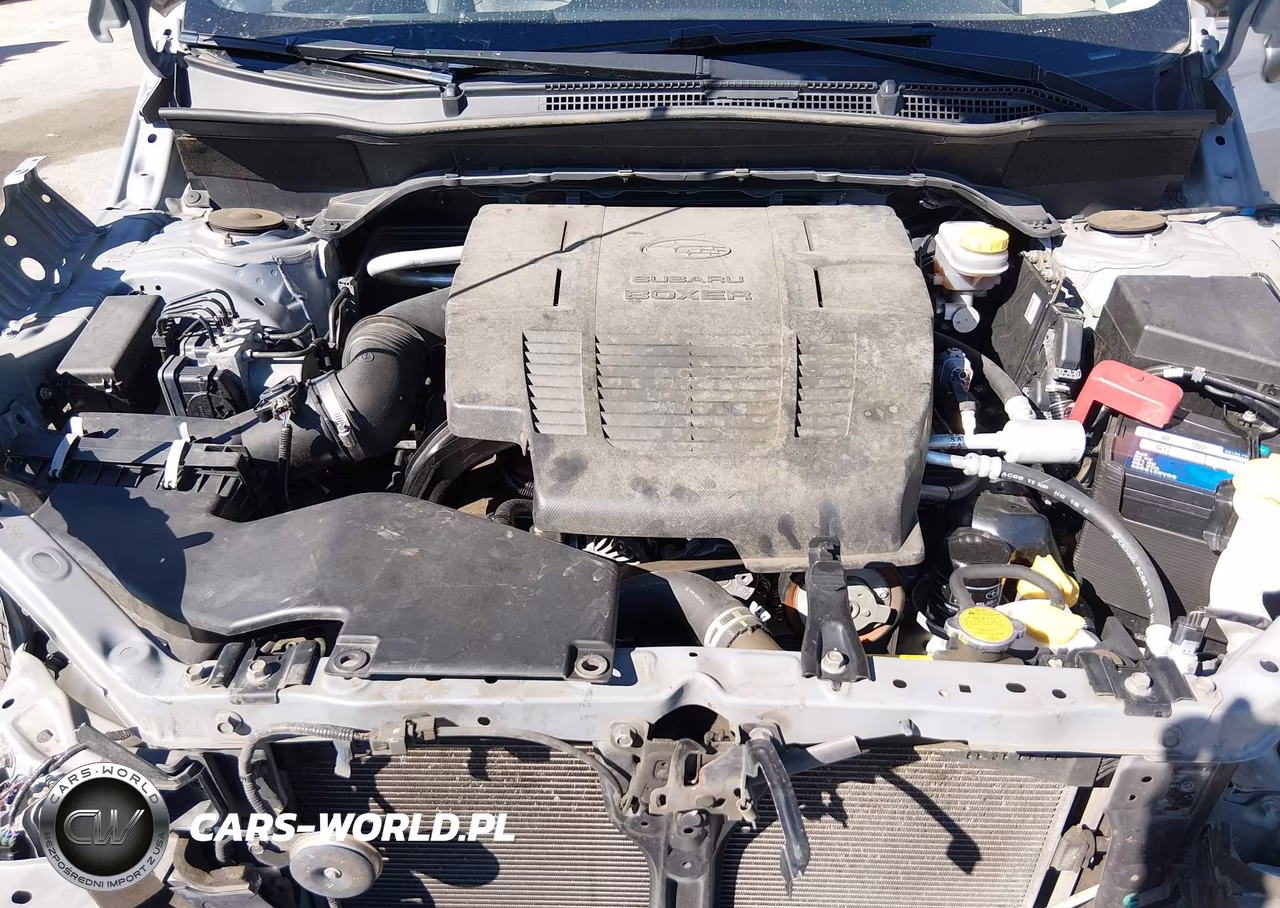 2019 Subaru Forester Limited VIN:JF2SKAUC6KH422826 - 10
