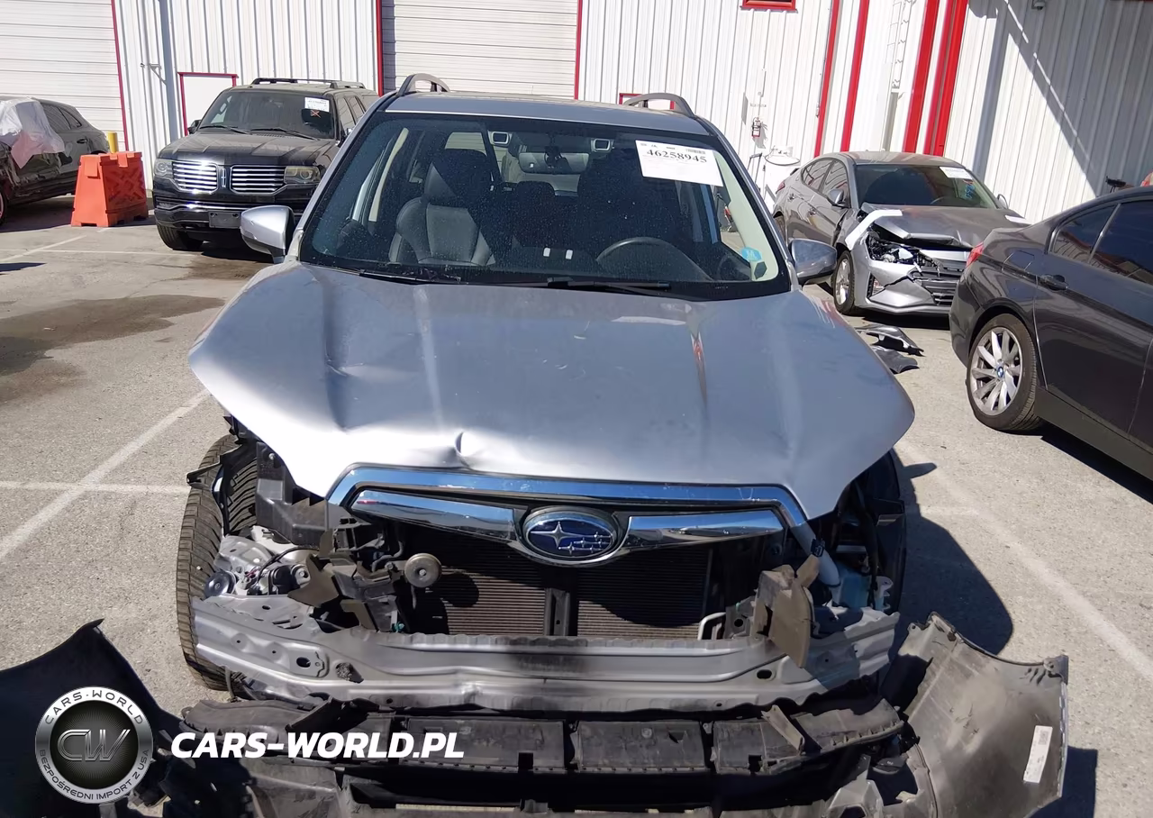 2019 Subaru Forester Limited VIN:JF2SKAUC6KH422826 - 13