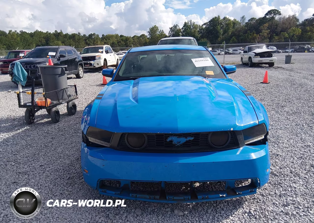 2012 Ford Mustang Gt Premium VIN:1ZVBP8CF9C5255396 - 11