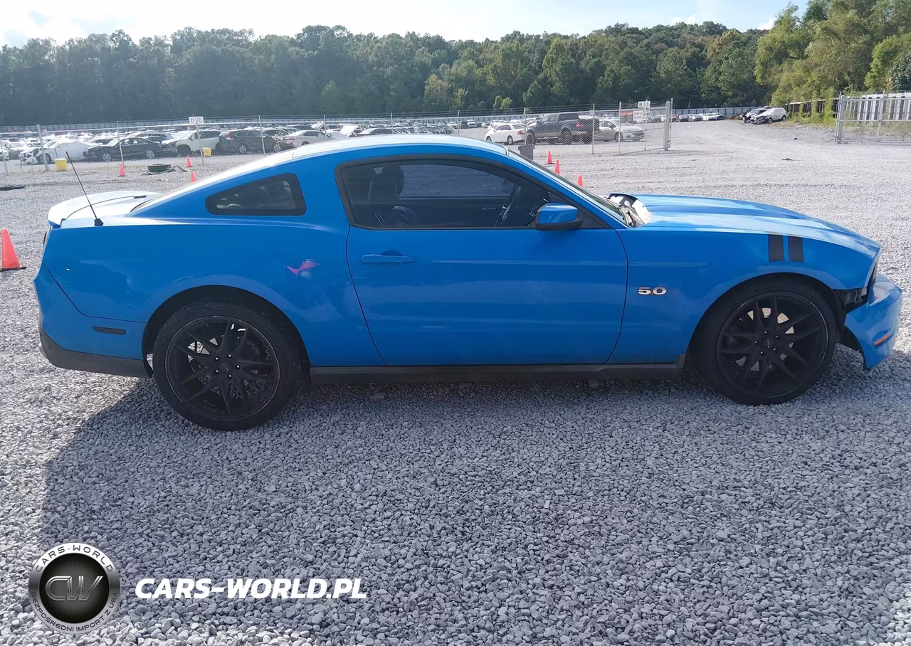2012 Ford Mustang Gt Premium VIN:1ZVBP8CF9C5255396 - 12