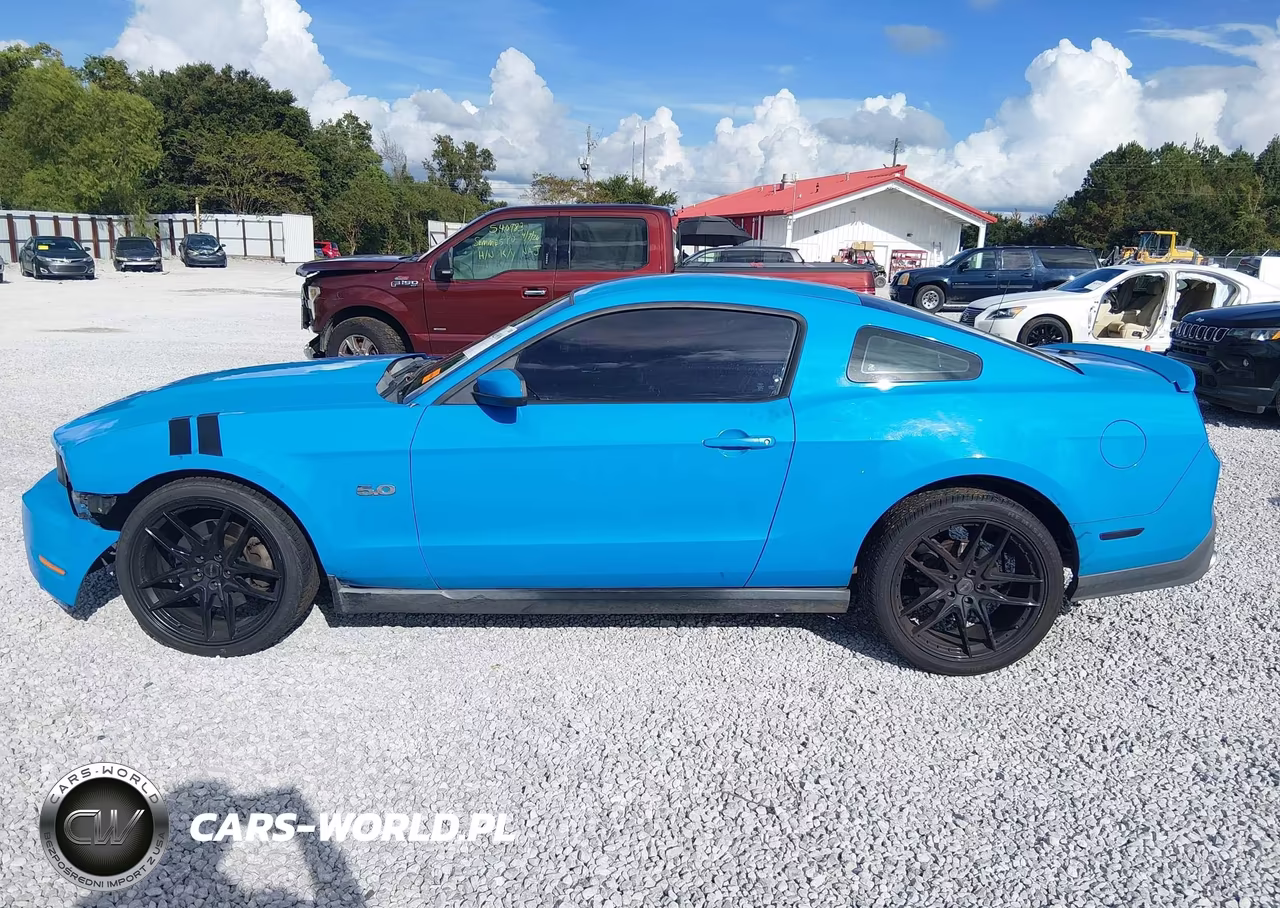 2012 Ford Mustang Gt Premium VIN:1ZVBP8CF9C5255396 - 13