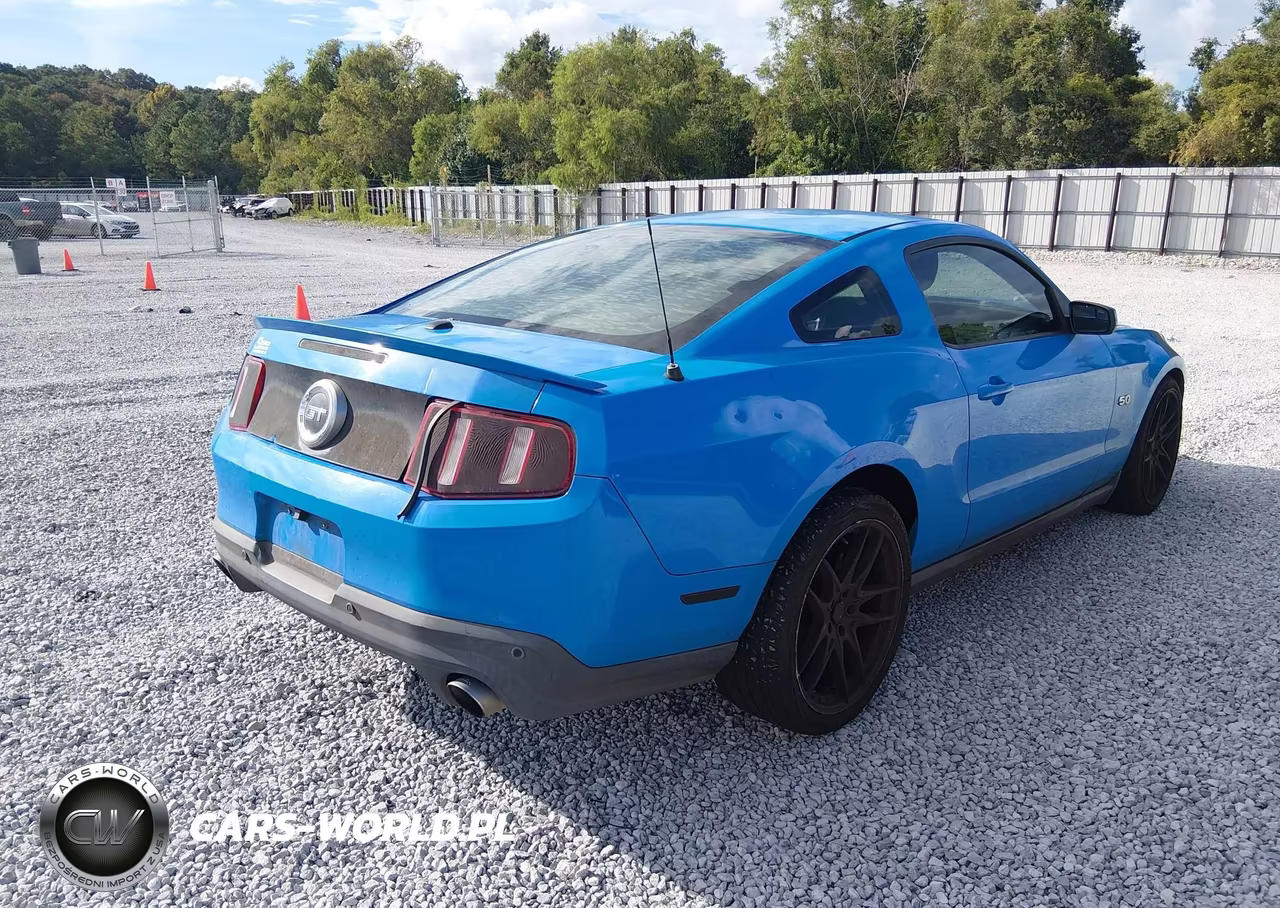 2012 Ford Mustang Gt Premium VIN:1ZVBP8CF9C5255396 - 4