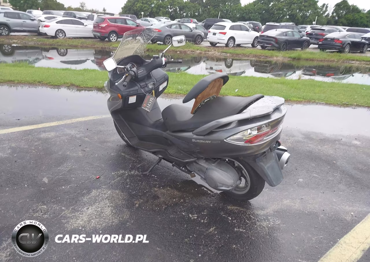 2009 Suzuki An400 VIN:JS1CK44A892100330 - 3