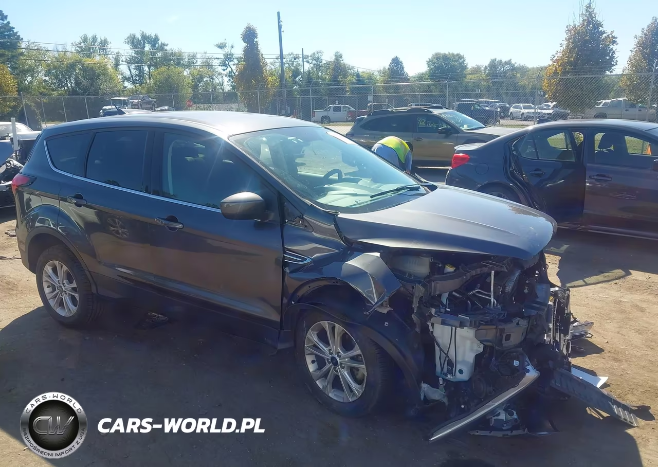 2019 Ford Escape Se