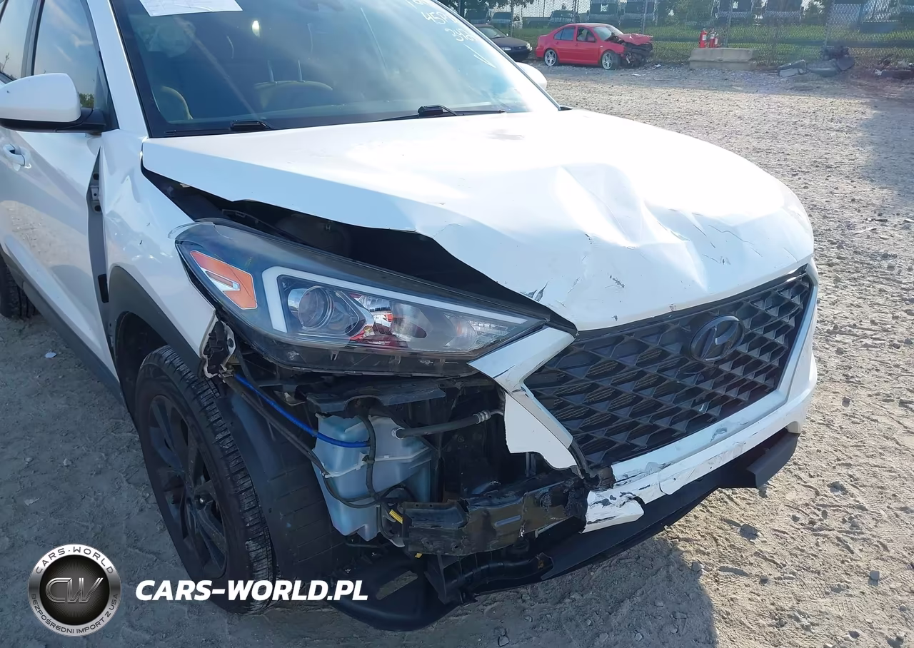 2019 Hyundai Tucson Se VIN:KM8J2CA43KU042476 - 17