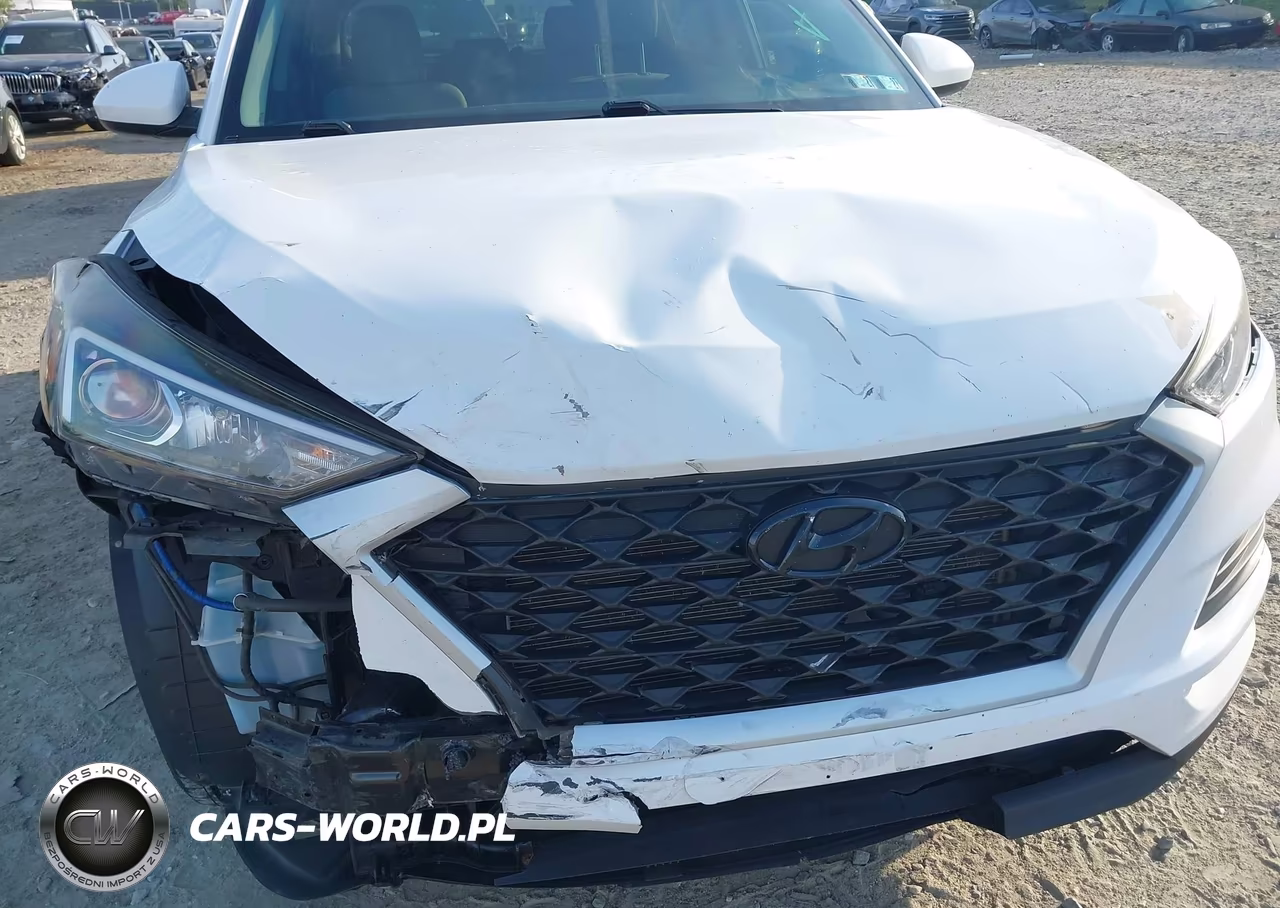 2019 Hyundai Tucson Se VIN:KM8J2CA43KU042476 - 18
