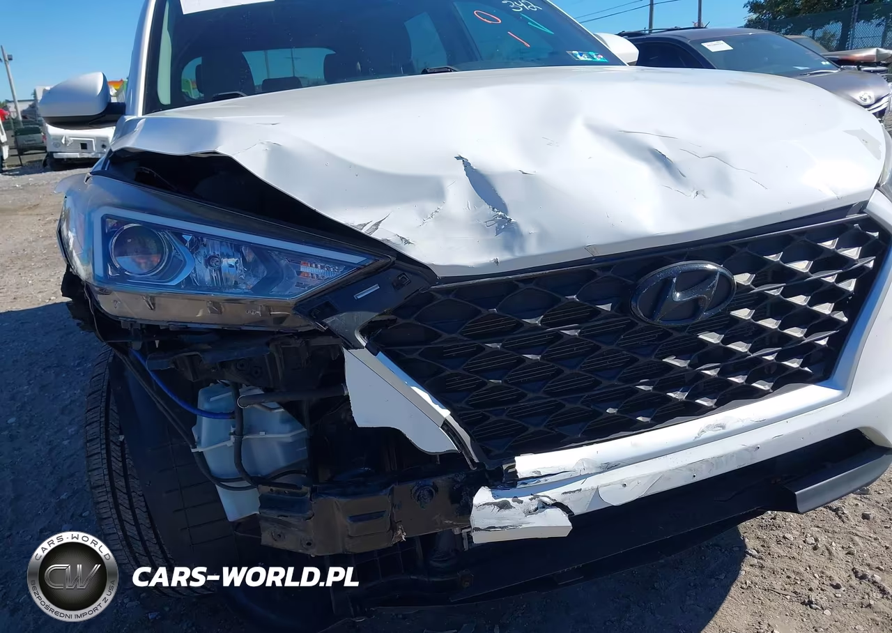 2019 Hyundai Tucson Se VIN:KM8J2CA43KU042476 - 6