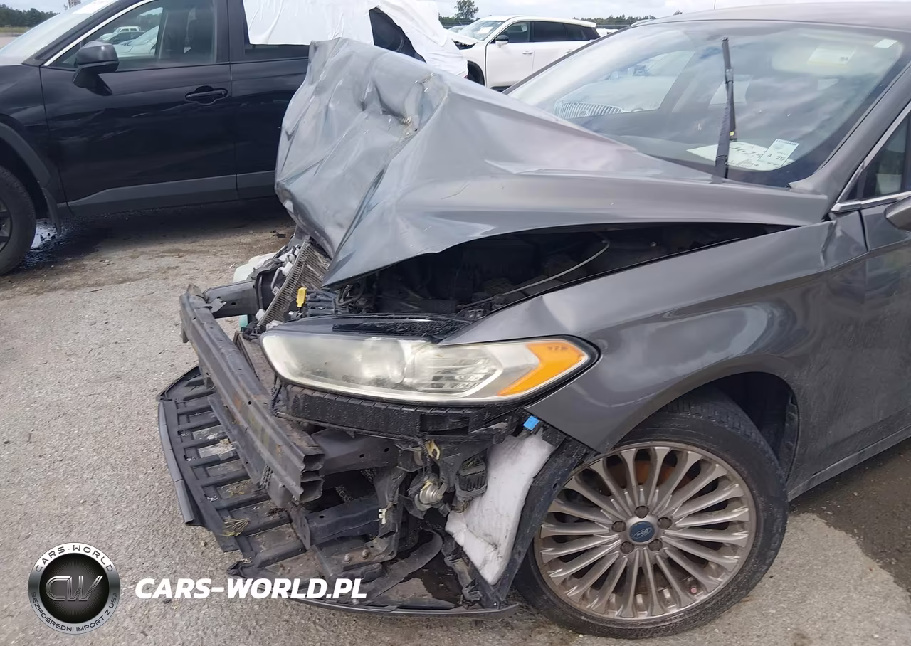 2014 Ford Fusion Titanium VIN:3FA6P0K95ER165105 - 6