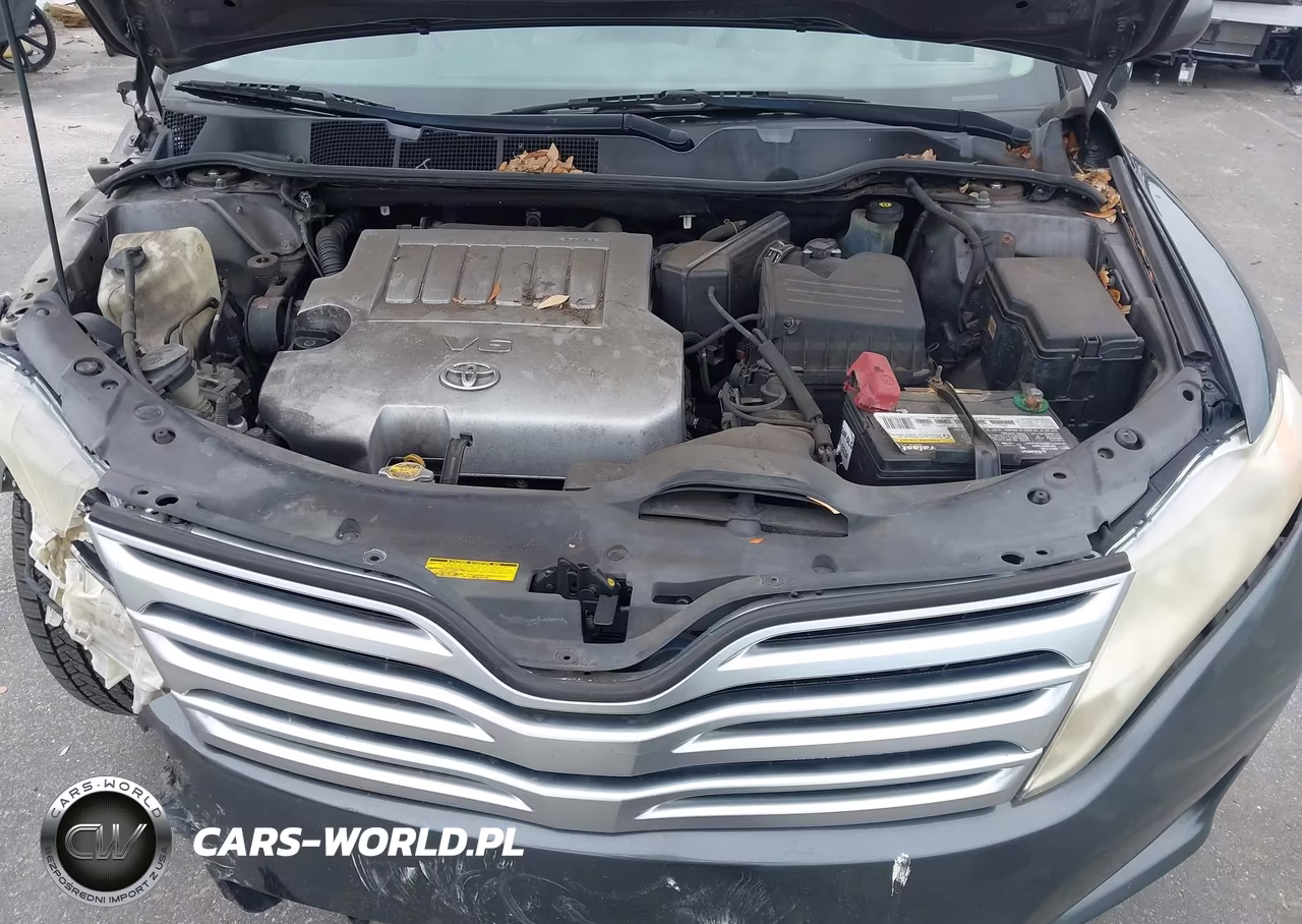 2009 Toyota Venza Base V6 VIN:4T3BK11A79U016477 - 10