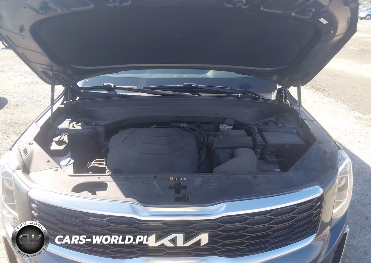 2022 Kia Telluride S VIN:5XYP6DHC6NG245647 - 10