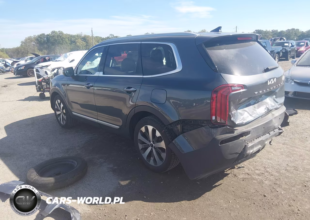 2022 Kia Telluride S VIN:5XYP6DHC6NG245647 - 3